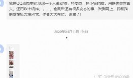 独家爆料网免费爆料,免费爆料网背后的惊人真相